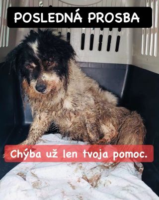 ❗️POSLEDNÉ 4% DO PLNÝCH BRUŠIEK V NITRE 😱❗️ ❌❌❌❌❌❌❌❌❌❌❌❌❌❌❌❌❌❌❌❌❌❌ Chýba už len posledný krok do cieľa a plných...