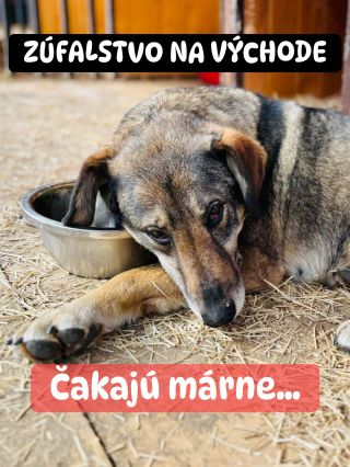 ❗️ZÚFALSTVO NA VÝCHODE POKRAČUJE 🥺❗️ ❌❌❌❌❌❌❌❌❌❌❌❌❌❌❌❌❌❌❌❌❌❌ Na lepšie časy im nesvitá, nádej neprichádza 😭 Zabudnutý...