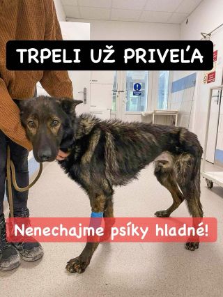 ❗️RÝCHLA POMOC NUTNÁ PRE NOVÚ BAŇU 😱❗️ ❌❌❌❌❌❌❌❌❌❌❌❌❌❌❌❌❌❌❌❌❌❌ NAŠU POMOC POTREBUJE AJ CENTRUM PREVÝCHOVY ZVIERAT ❗️ Baby...