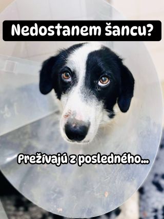 ❗️NAOZAJ NEDOSTANÚ ŽIADNU ŠANCU ❓🥺 ❌❌❌❌❌❌❌❌❌❌❌❌❌❌❌❌❌❌❌❌❌❌ NA VÝCHODE UŽ IDÚ Z POSLEDNÝCH SÍL❗️😱 Napriek tomu sme sa...